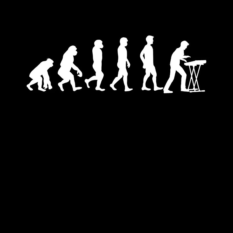 Elektronisches Keyboard Piano Klavier Evolution