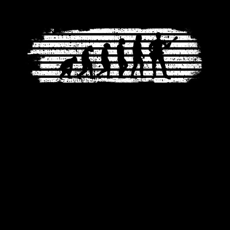 EVOLUTION GUITARISTE