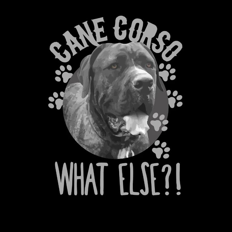 Cane Corso What else?! Dog Hundfeund Moloss
