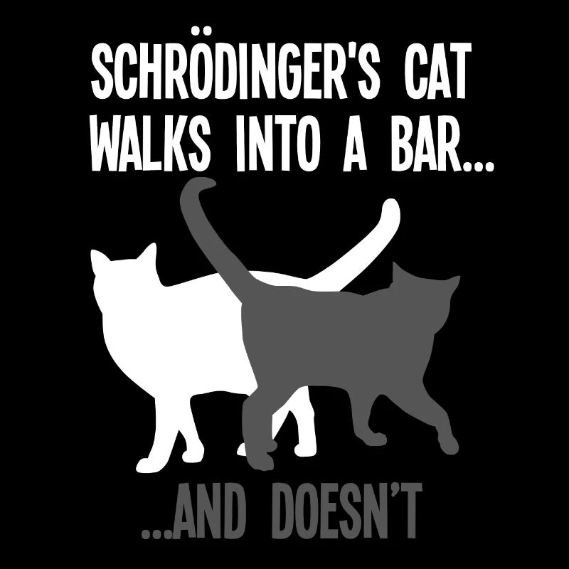 Physik Schrödinger's Katze
