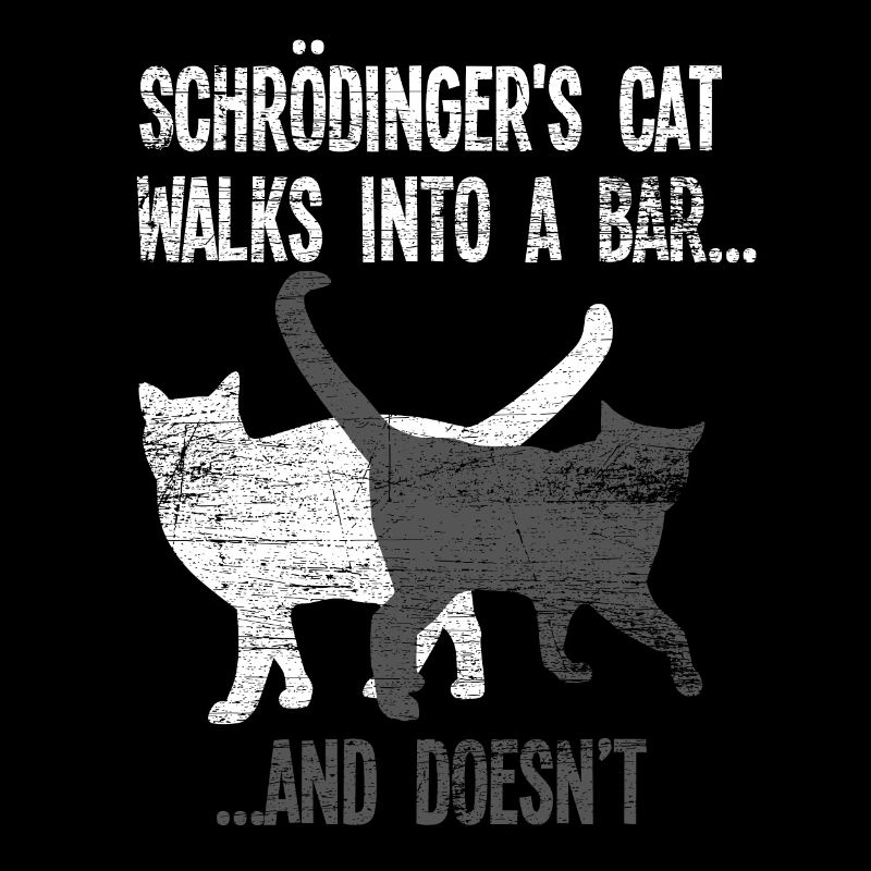 Physics Schrödinger