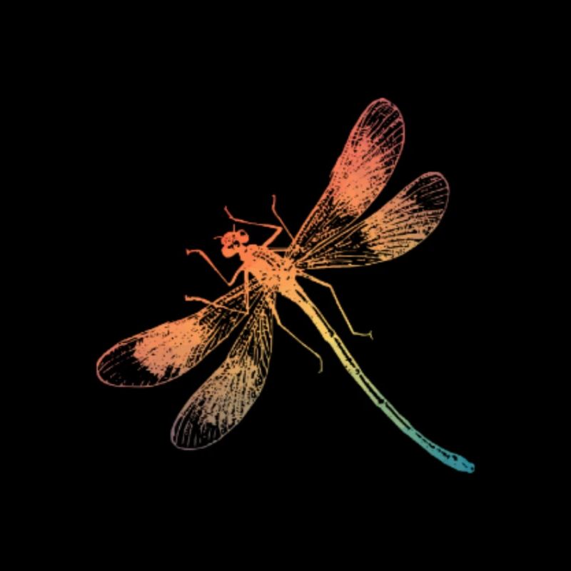 Bunte Regenbogen Libelle