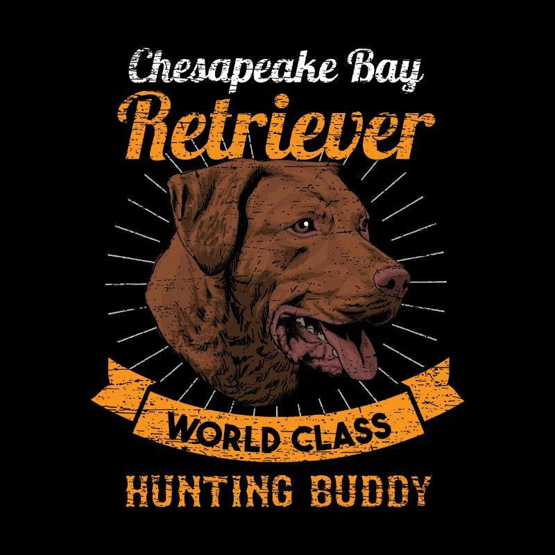 Récupérateurs de la baie de Chesapeake