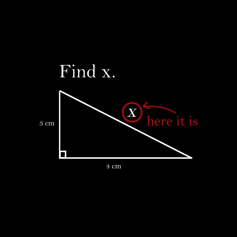 Finde X math Geschenk