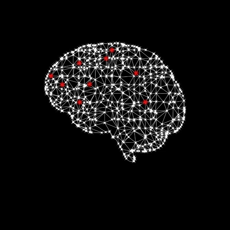 Nerd Network Brain Activity