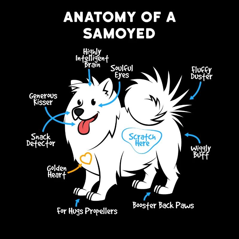 Chien Samoyed