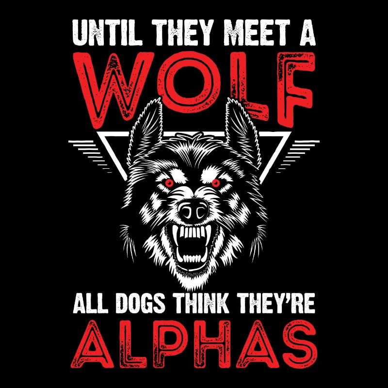 Loup Alpha Leitwolf sort Meute loup loup
