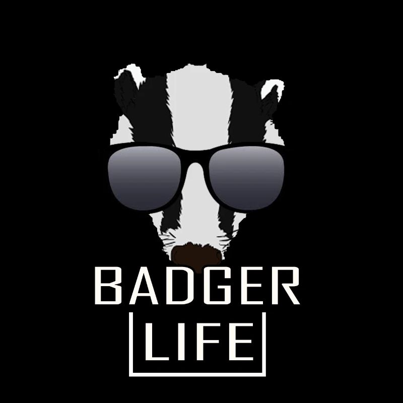 Honig Dachs Honig Dachs Wald Wildtier