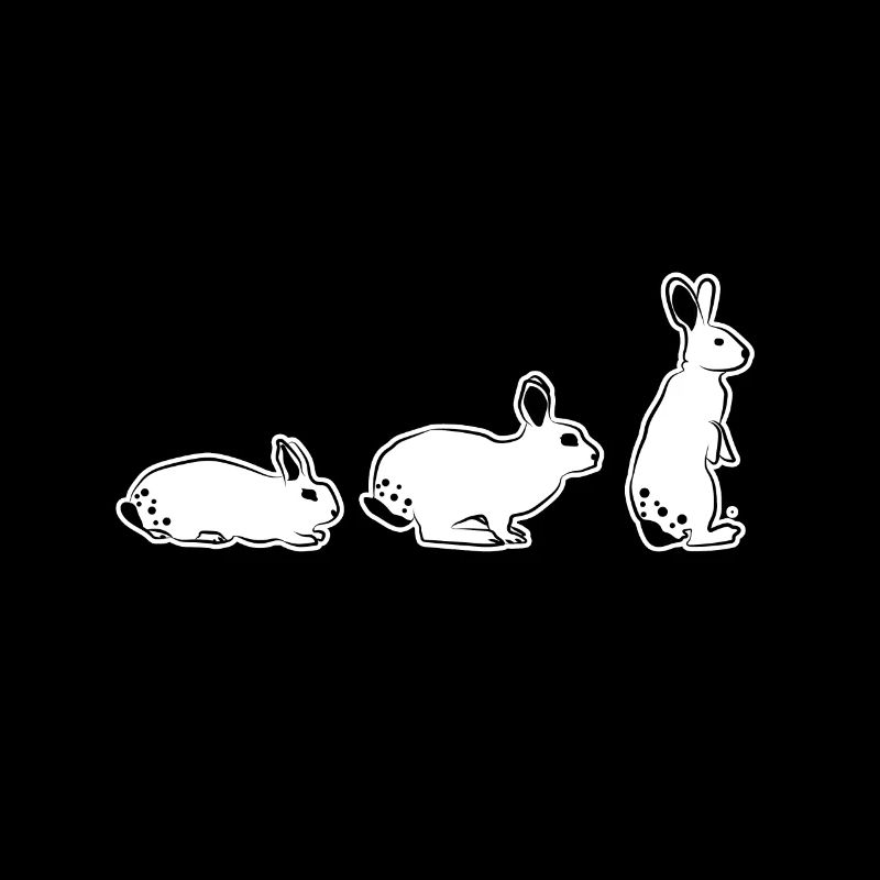 rabbit