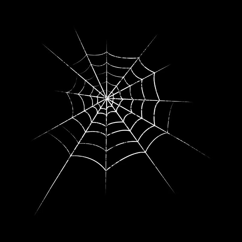 Spider cobweb