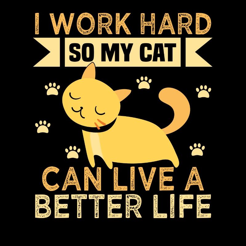 Katzen Liebe Katzen Dame Arbeit