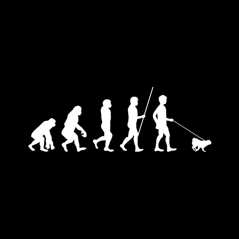 Evolution Pug