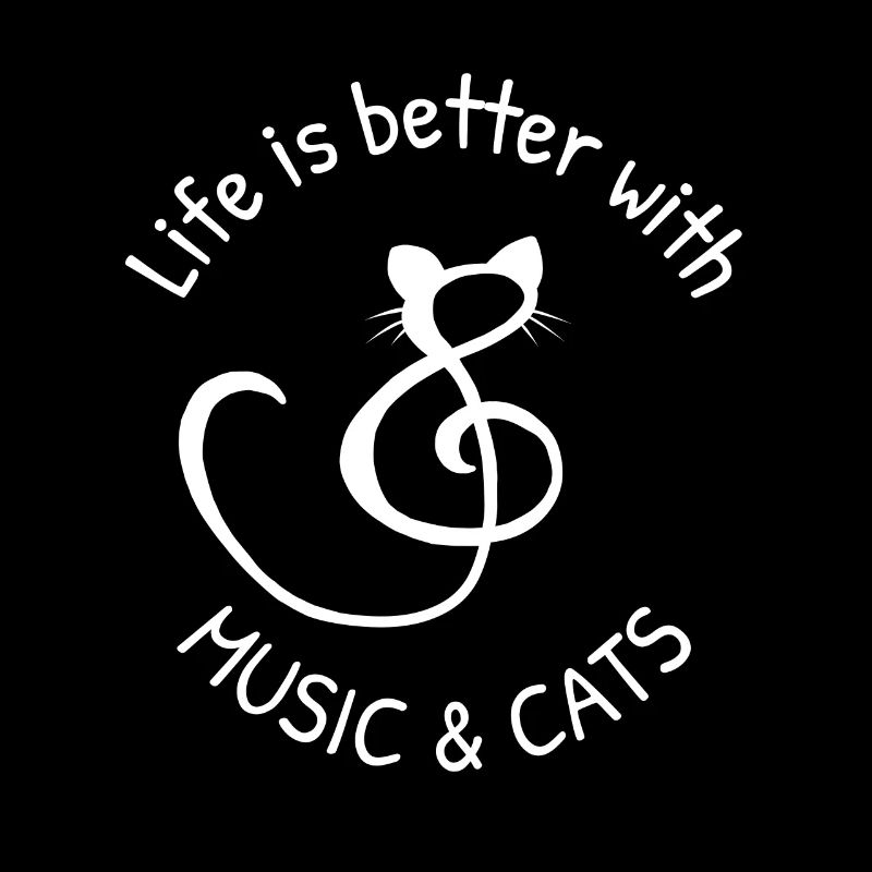 Chat chatte chatte chaton chat musique sort cadeau