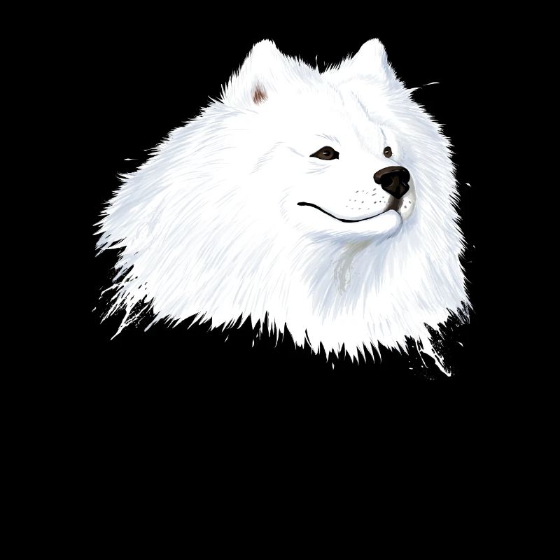 Samojede chien