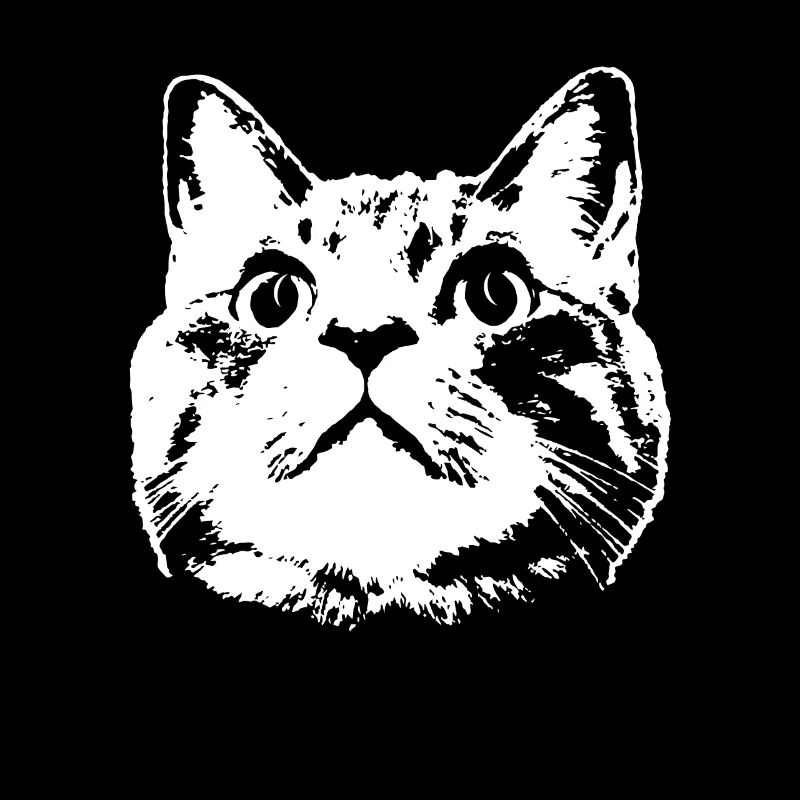chat