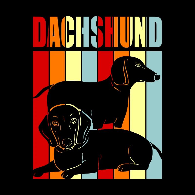 dachshund