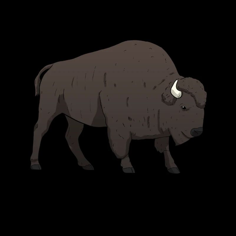 Bison Büffel