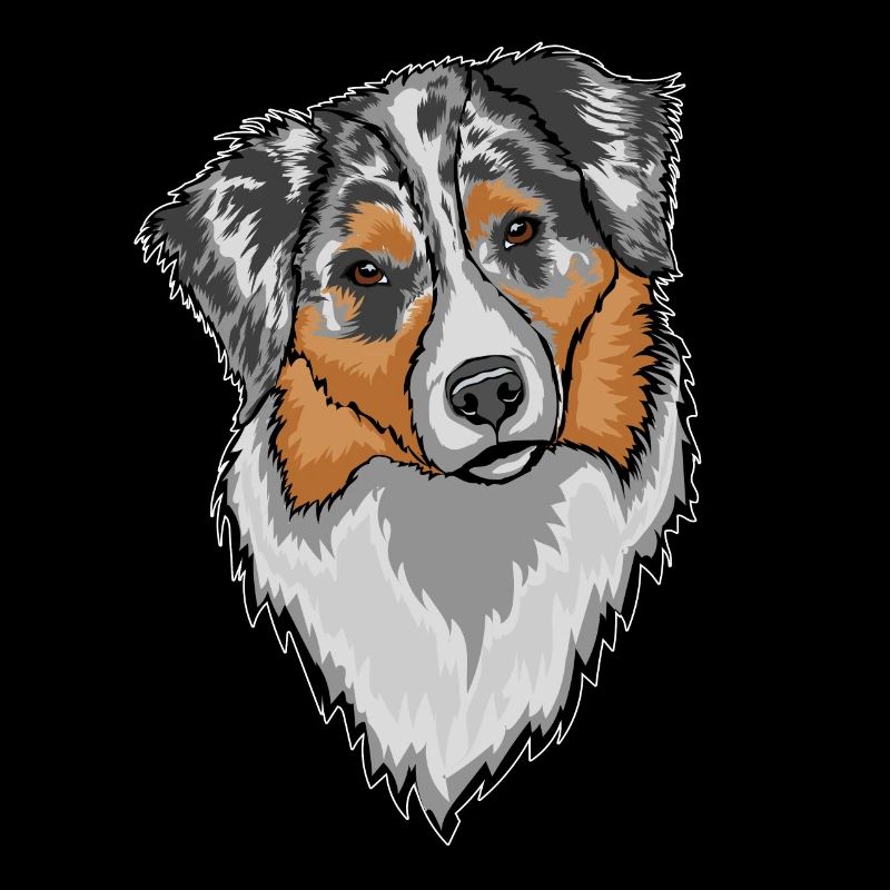 Australian Sheperd Aussie Hund