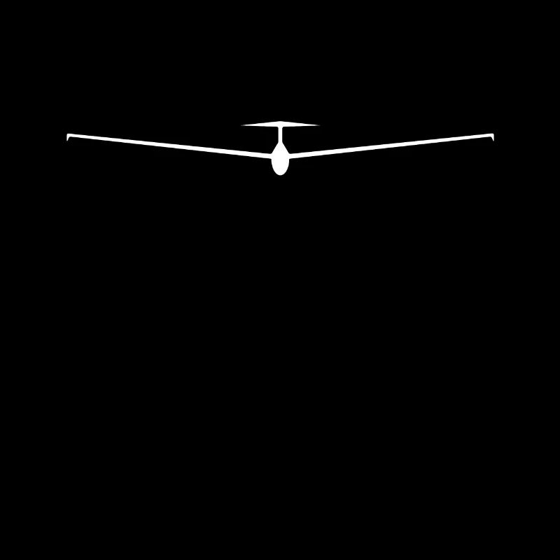 Planeur pilote