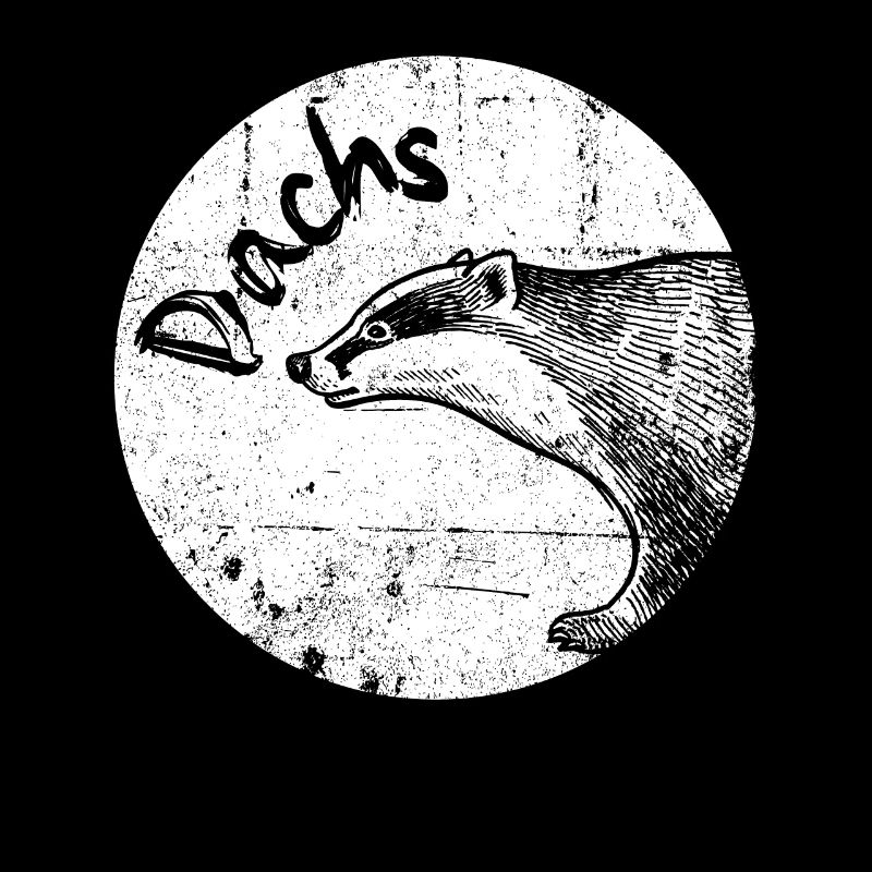 Dachs