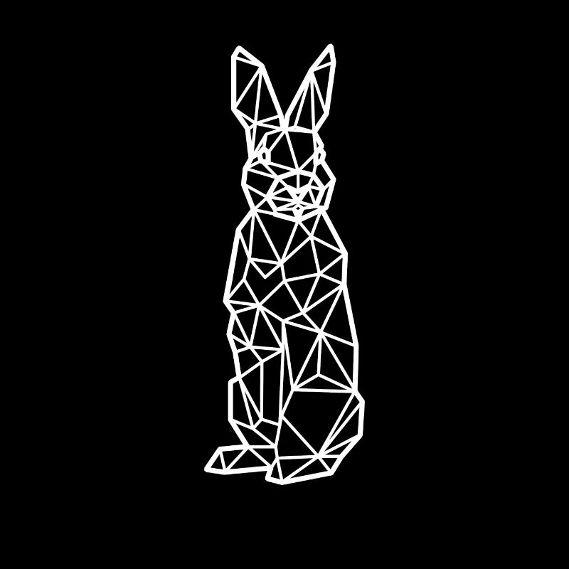 Hase Polygon