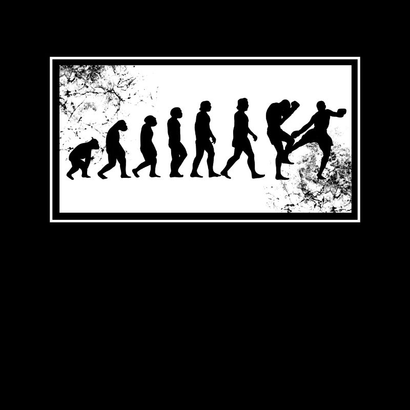 L'évolution du kickboxer