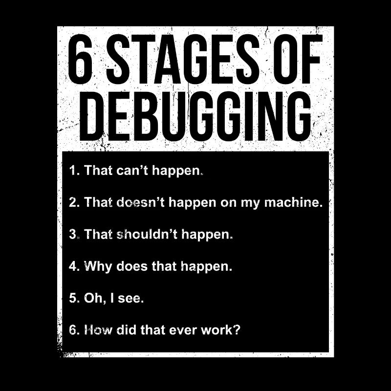 Programmer Funny gift idea