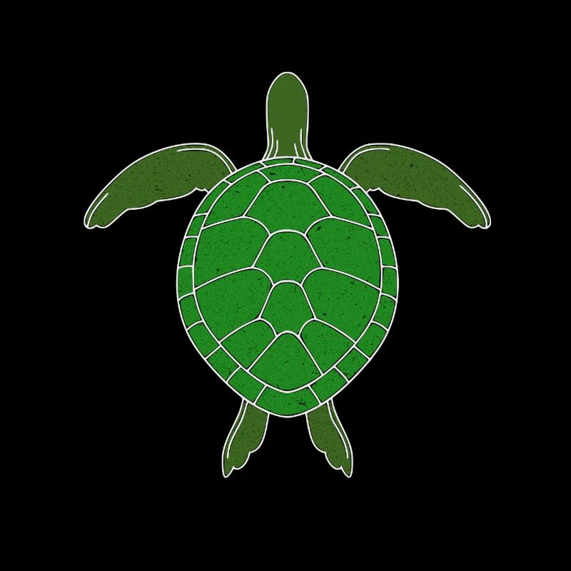 Tortue