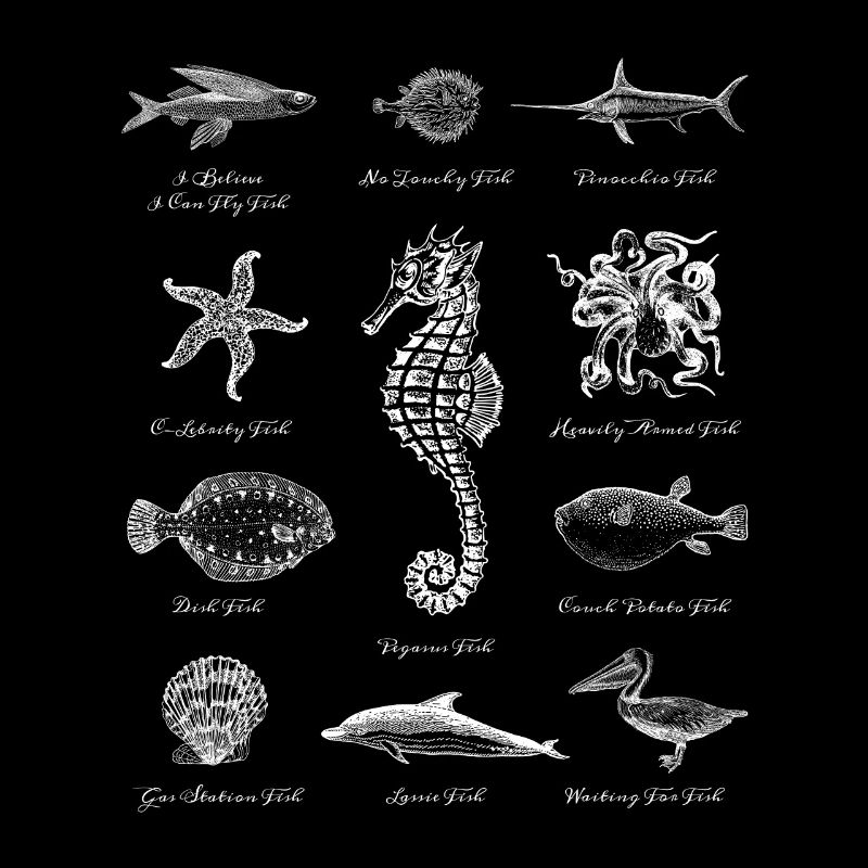 Fish starfish dolphin seahorse octopus octopus