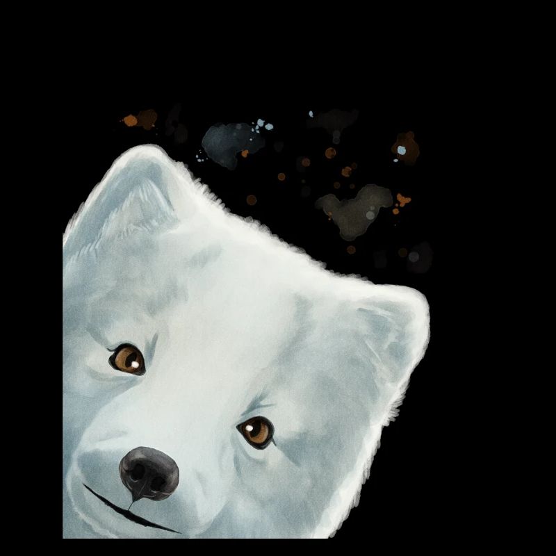 Curious Arctic Fox
