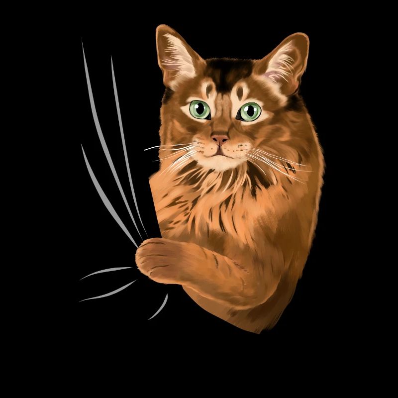 Somalikatze