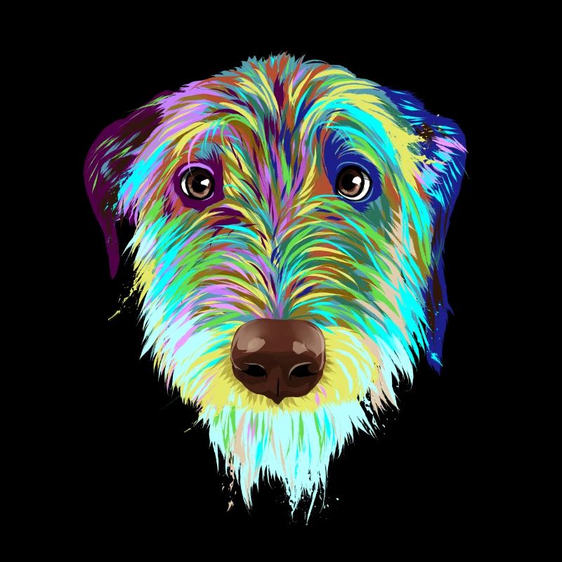 Splash Irischer Wolfshund Hund