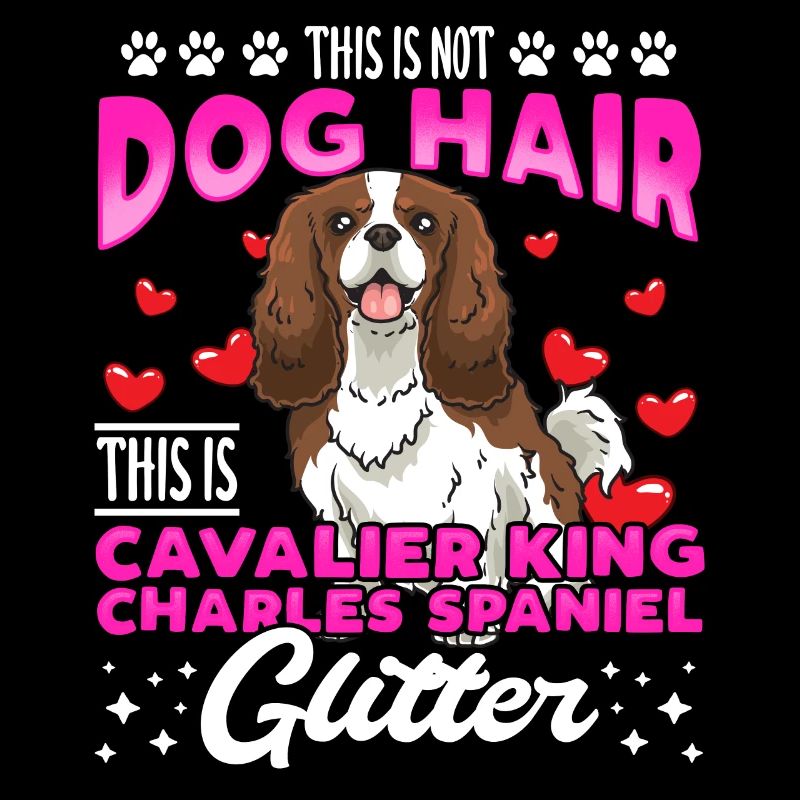 Cavalier King Charles Spaniel drôle sort