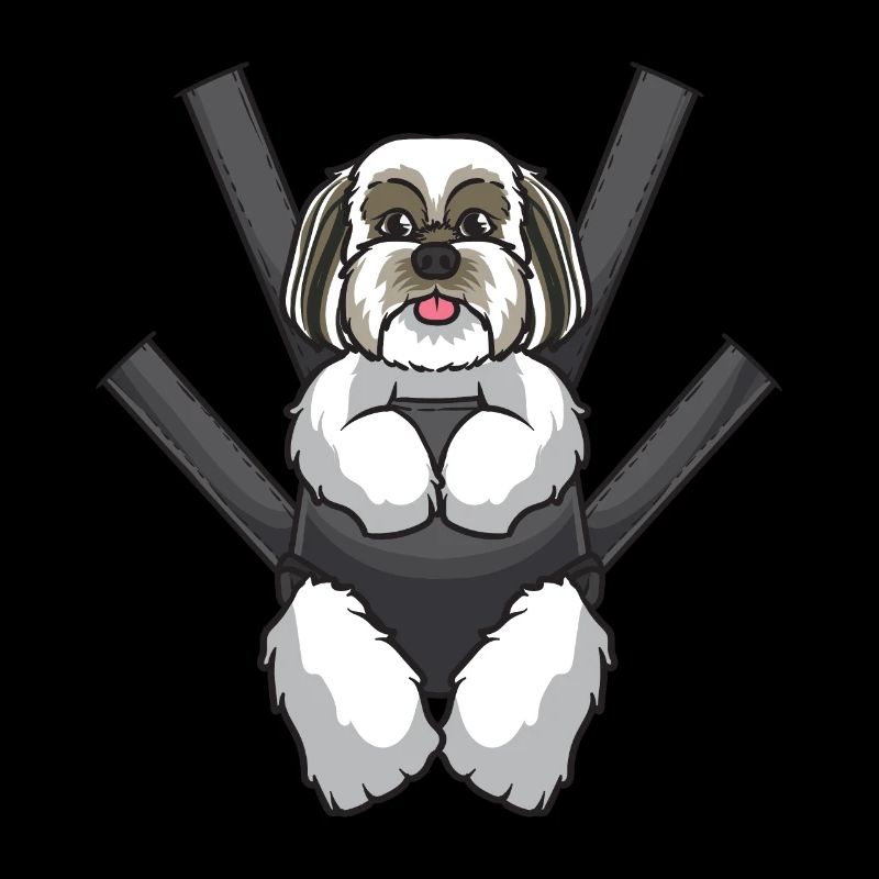 Lhasa Apso chien