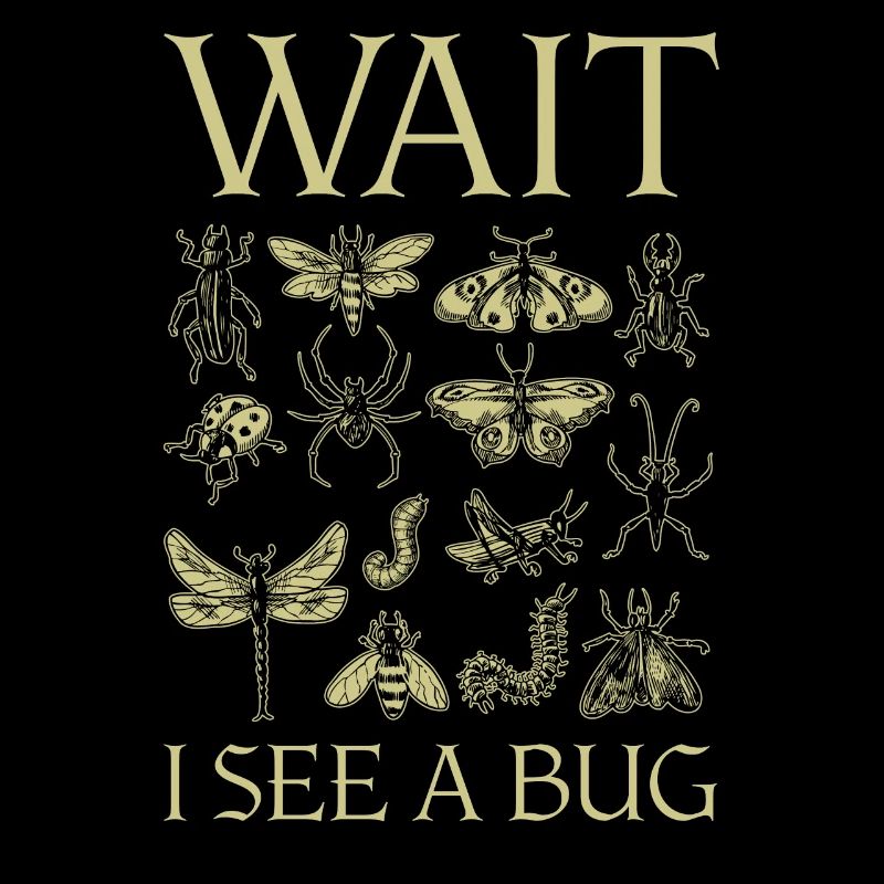 Wait I See A Bug Insects And Bug Lovers