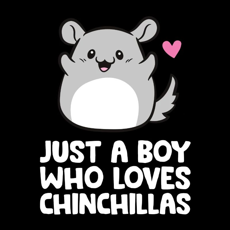 Nur ein Junge, der Chinchillas liebt
