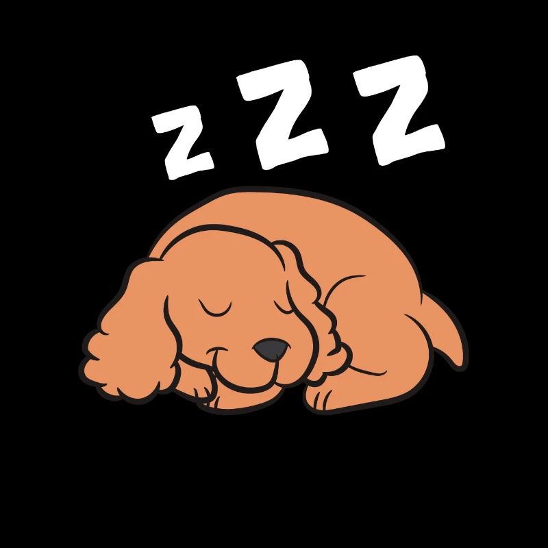 Cocker Spaniel Hund Schlafen Pyjama Cocker