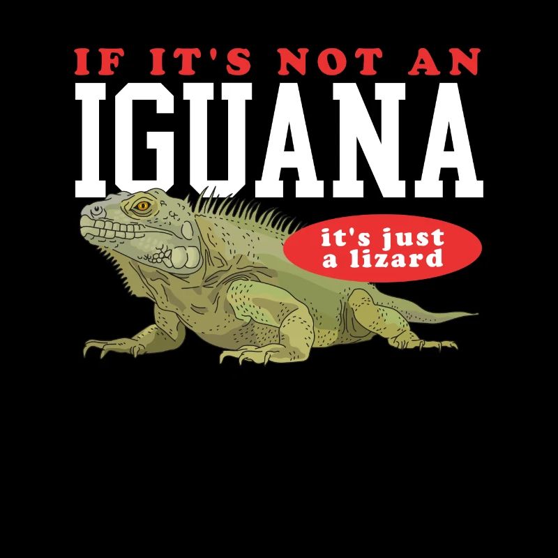 Leguan Reptilien Leguane Eidechse Geschenk