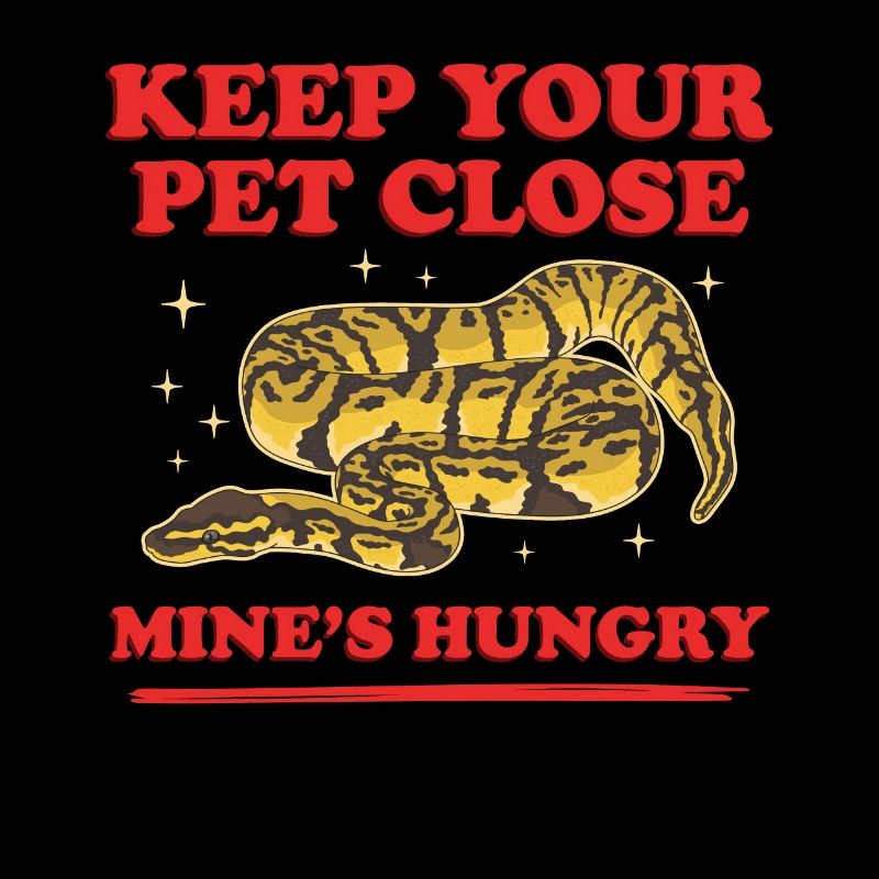 Roi Python Serpent Python Cadeau