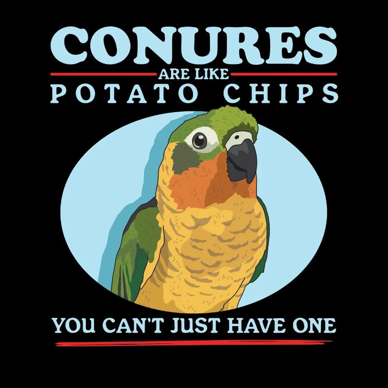 Conures simd comme des perroquets Conure cadeau