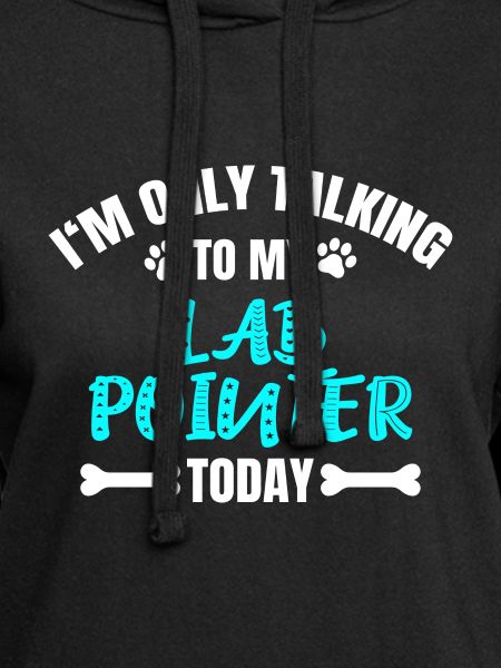 Lab Pointer