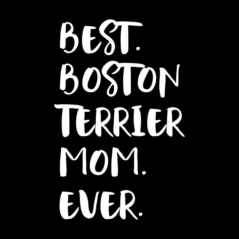 Boston Terrier