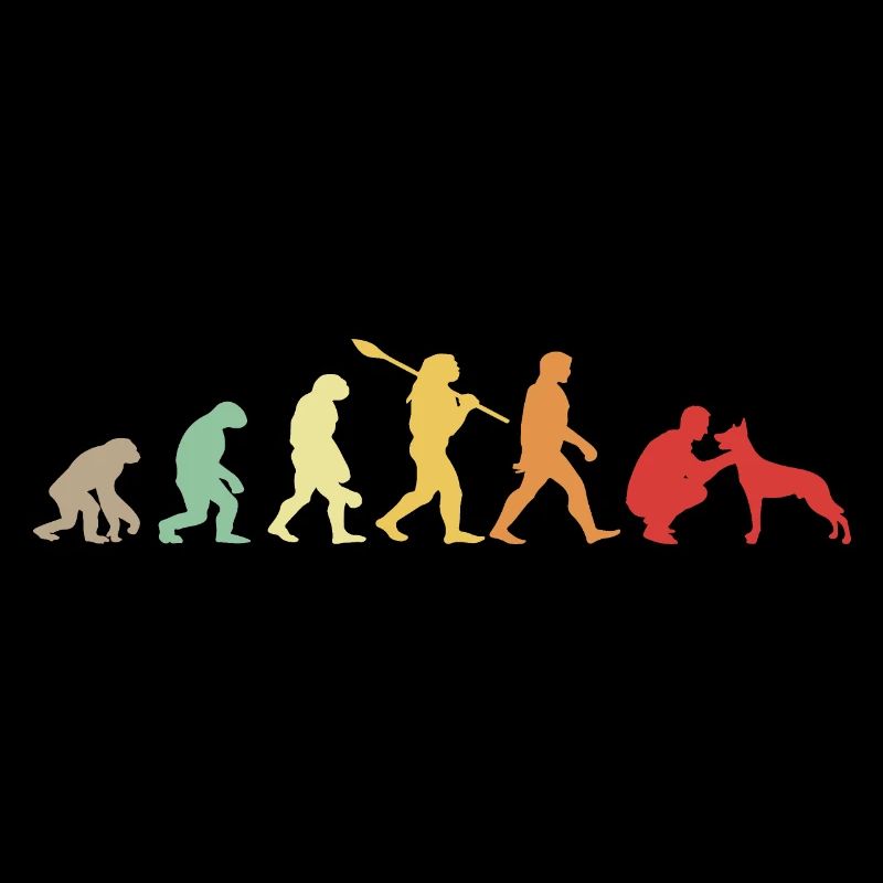 Evolution Lustiger Belgischer Schäferhund Malinois