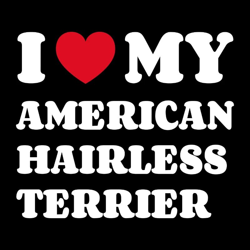 J’adore mon American Hairless Terrier