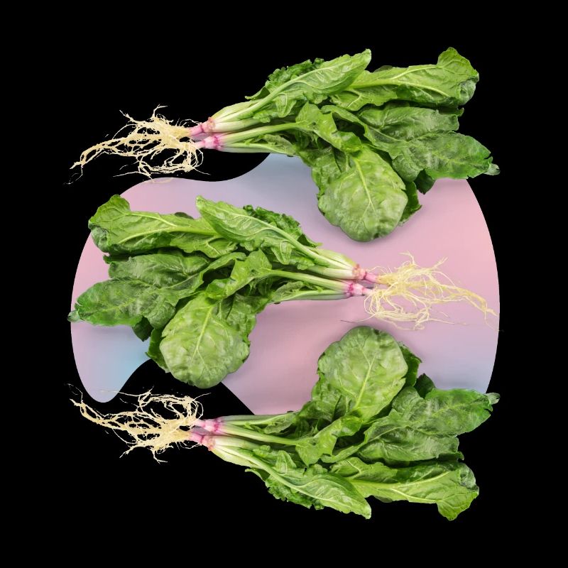 Spinat, frischer Spinat-Spinach Blattspinat