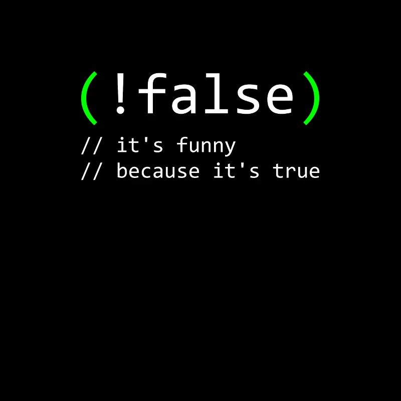 Programmer Humor false true funny Nerd Geek