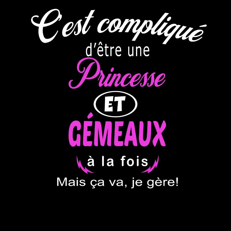 c'est compliqué princesse et gémeaux