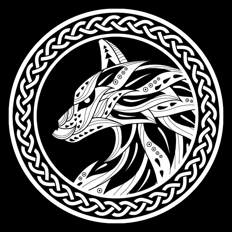 Vikings