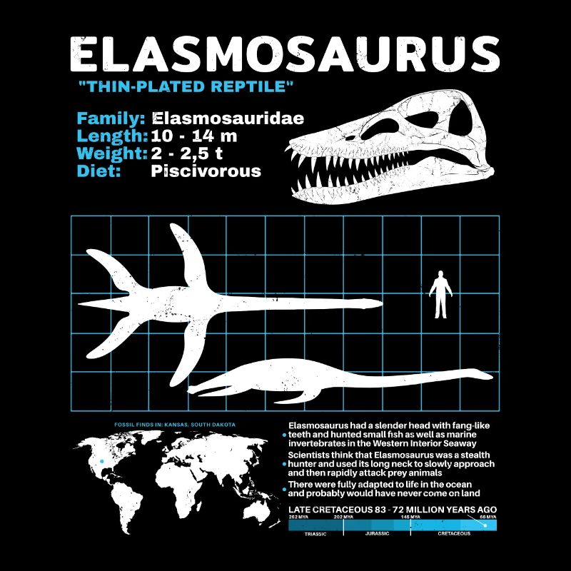 Fiche d’information sur Elasmosaurus