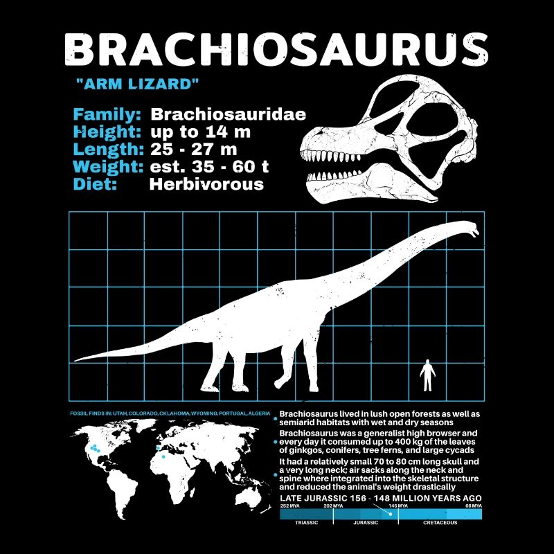Fiche technique de Brachiosaurus